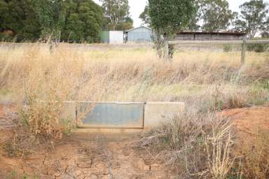 Farm For Sale - VIC - Kotta - 3565 - IRRIGATION CROPPING OR OUT BLOCK  (Image 2)