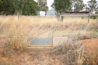 Farm For Sale - VIC - Kotta - 3565 - EXCELLENT IRRIGATION CROPPING OR OUT BLOCK  (Image 2)