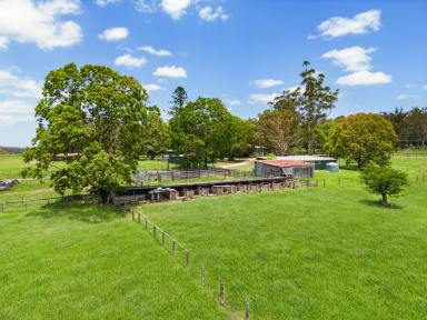 Farm Expressions of Interest - NSW - Glenreagh - 2450 - Exceptional Farm   (Image 2)