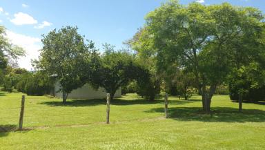 Farm For Sale - QLD - Yarraman - 4614 - A well-presented 2.5-acre property offering tranquillity and a shed.  (Image 2)