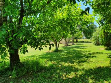 Farm For Sale - QLD - Yarraman - 4614 - Tranquil 2.5-Acre Property with Shed – Yarraman  (Image 2)