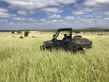 416 Nine Mile Road, Roma QLD 4455