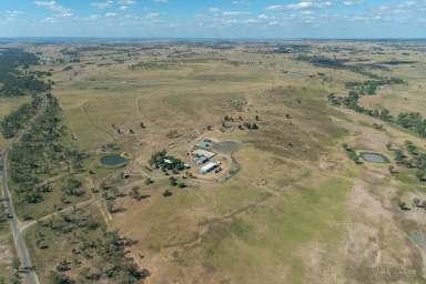 Farm For Sale - QLD - Roma - 4455 - “NIMITY” Roma/Eumamurrin— PRIME GRAZING COUNTRY  (Image 2)