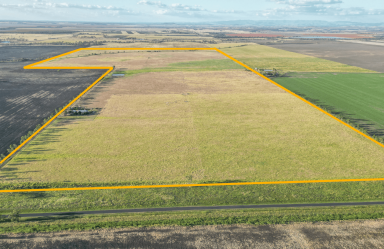 Farm Sold - QLD - Blaxland - 4405 - Location, Grazing & the Ultimate Rural Lifestyle  (Image 2)