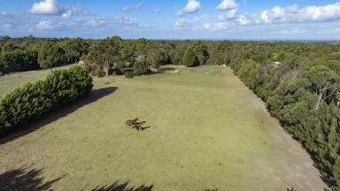 Farm For Sale - VIC - Cranbourne South - 3977 - Prime Opportunity: Build Your Dream Home  (Image 2)