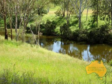 Farm For Sale - QLD - Tansey - 4601 - "Coorinya"  (Image 2)