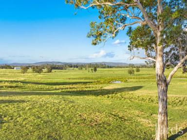Farm For Sale - NSW - Mindaribba - 2320 - Glassburn- Hunter Valley Homestead  (Image 2)