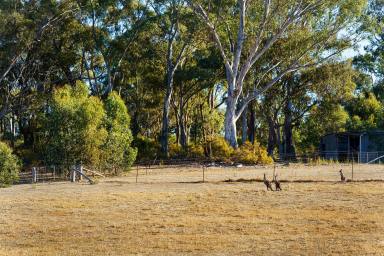 Farm For Sale - VIC - Castlemaine - 3450 - Private Lifestyle Property on 10 Acres (approx)  (Image 2)