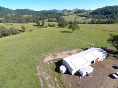 Farm For Sale - NSW - Gloucester - 2422 - "AKUNA" - Callaghans Creek Road, Bundook  (Image 2)