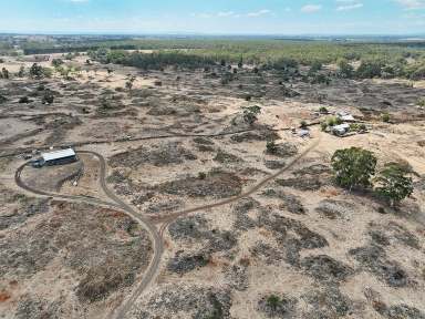 Farm For Sale - VIC - Stonyford - 3260 - Stonyford's Untamed Canvas...  (Image 2)