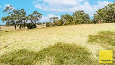Farm For Sale - VIC - Foster - 3960 - LIFESTYLE ACREAGE CLOSE TO TOWN  (Image 2)