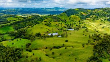 Farm For Sale - QLD - Pie Creek - 4570 - The Springs: A Premier Rural Property - Noosa Hinterland  (Image 2)