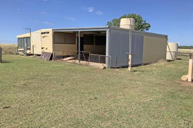 Farm For Sale - NSW - Narromine - 2821 - Minutes From Town  (Image 2)