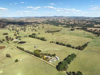 Farm For Sale - VIC - Merton - 3715 - Established Farm, Conveniently Located, Income Potential  (Image 2)