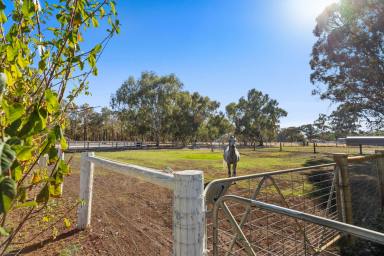 Farm Auction - WA - Boyanup - 6237 - Your chance to purchase this amazing 5.14* acres in Boyanup.  (Image 2)