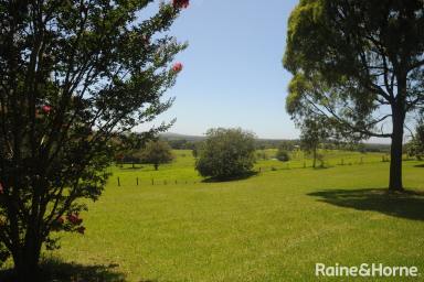 Farm For Sale - NSW - Berry - 2535 - 100 Acres in Wire Lane, Berry  (Image 2)