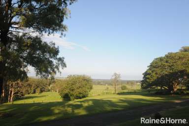 Farm For Sale - NSW - Berry - 2535 - 100 Acres in Wire Lane, Berry  (Image 2)