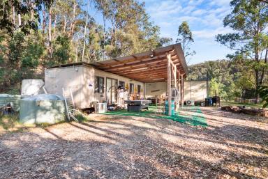 Farm For Sale - NSW - Putty - 2330 - Outdoor lifestyle retreat - bring the bikes!  (Image 2)
