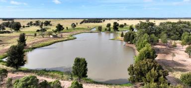 Farm For Sale - QLD - Meandarra - 4422 - Quality mixed-enterprise asset with excellent water security  (Image 2)