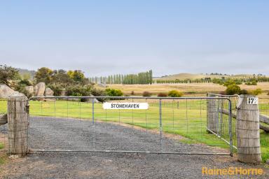 Farm Auction - NSW - Stonehenge - 2370 - Hazelwood Rd Heaven  (Image 2)