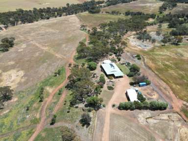 Farm For Sale - WA - West Pingelly - 6308 - Lifestyle with a Bonus  (Image 2)