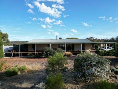 Farm For Sale - WA - West Pingelly - 6308 - Lifestyle with a Bonus  (Image 2)