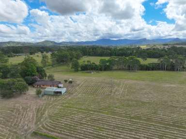 Farm For Sale - NSW - Cedar Party - 2429 - Quickly Jump on this!  (Image 2)