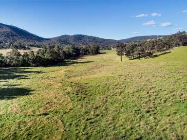 Farm For Sale - VIC - Ancona - 3715 - 130 Acres of Serenity, A Country Haven  (Image 2)