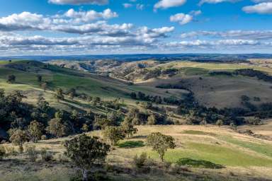 Farm For Sale - NSW - Golspie - 2580 - " ROMLO Majestic Country bliss and traditional Rural productivity  (Image 2)