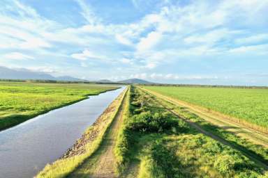 Farm For Sale - QLD - Upper Haughton - 4809 - 807 Acre Cropping Property - Burdekin Area - 2501mgltrs of Water  (Image 2)