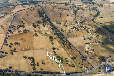 Farm For Sale - NSW - Boorowa - 2586 - Country Living- Close to Town  (Image 2)