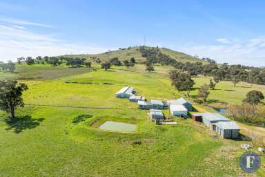 Farm For Sale - NSW - Boorowa - 2586 - Country Living- Close to Town  (Image 2)