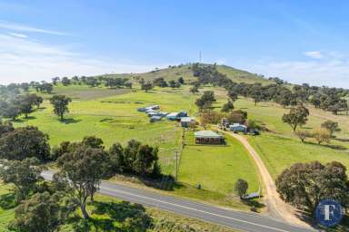 Farm For Sale - NSW - Boorowa - 2586 - Country Living- Close to Town  (Image 2)