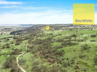Farm For Sale - NSW - Collector - 2581 - AMAZING VIEWS !!! 288 acres !!  (Image 2)