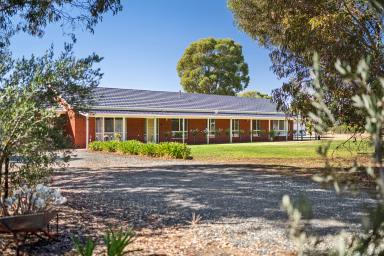 Farm For Sale - VIC - Echuca - 3564 - SPACIOUS 5-BEDROOM BRICK RESIDENCE ON 2 ACRES EDGE OF ECHUCA  (Image 2)