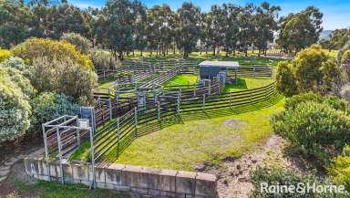 Farm For Sale - SA - Hindmarsh Valley - 5211 - 'Bayvista' - Blend work & pleasure with a pivotal farm-to-sea locale & a beyond versatile 678-acres.  (Image 2)