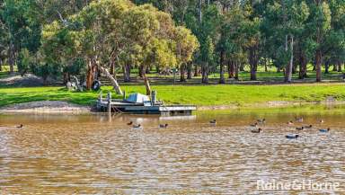 Farm For Sale - SA - Hindmarsh Valley - 5211 - 'Bayvista' - Blend work & pleasure with a pivotal farm-to-sea locale & a beyond versatile 678-acres.  (Image 2)