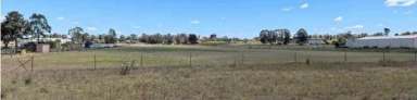 Farm For Sale - NSW - Bringelly - 2556 - RARE, PRIME DEVELOPMENT LAND IN HEART OF BRADFIELD AEROTROPOLIS CORE  (Image 2)