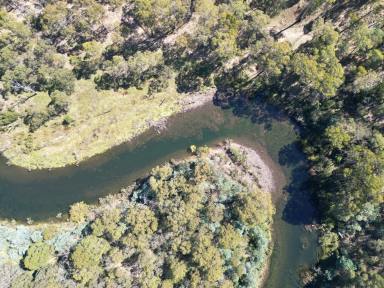 Farm For Sale - VIC - Dartmouth - 3701 - “Rare piece of genuine river frontage with idyllic camping and recreational sites"  (Image 2)