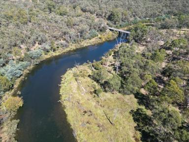 Farm For Sale - VIC - Dartmouth - 3701 - “Rare piece of genuine river frontage with idyllic camping and recreational sites"  (Image 2)