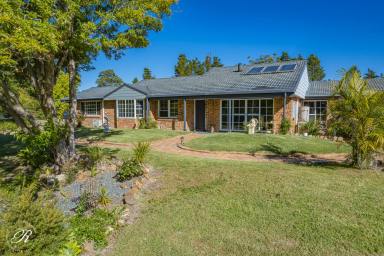 Farm For Sale - NSW - Burrell Creek - 2429 - The Perfect Rural Retreat For A Family  (Image 2)