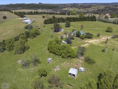 Farm For Sale - NSW - Bevendale - 2581 - 970 Acres, Rolling Hills, 3 BR Homestead, Huge River Frontage, Perfect Sheep Grazing Property, Enormous Potential, 11 Parcels.  (Image 2)