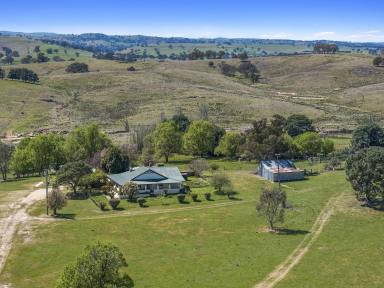 Farm For Sale - NSW - Bevendale - 2581 - 970 Acres, Rolling Hills, 3 BR Homestead, Huge River Frontage, Perfect Sheep Grazing Property, Enormous Potential, 11 Parcels.  (Image 2)