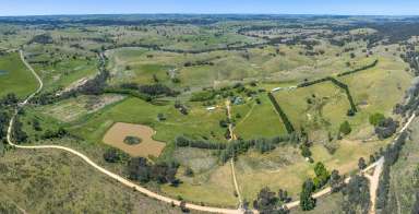 Farm For Sale - NSW - Bevendale - 2581 - 970 Acres, 12 Lots, Rolling Hills, River Frontage,  Enormous Potential, 12 Lots, Dual Road Frontage.  (Image 2)