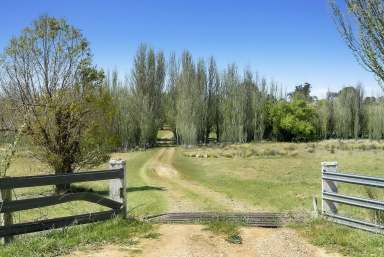 Farm For Sale - NSW - Bevendale - 2581 - 970 Acres, Rolling Hills, 3 BR Homestead, River Frontage, Perfect Grazing Property,  Enormous Potential, Beautiful Views.  (Image 2)