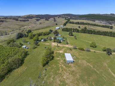 Farm For Sale - NSW - Bevendale - 2581 - 970 Acres, 12 Lots, Rolling Hills, River Frontage,  Enormous Potential, 12 Lots, Dual Road Frontage.  (Image 2)