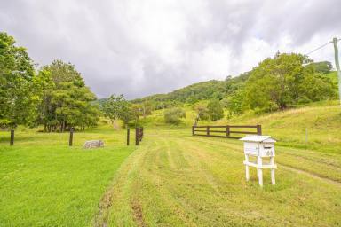 Farm For Sale - QLD - Cedar Pocket - 4570 - "Cattle Hill' – A Comfortable, Private Lifestyle  (Image 2)