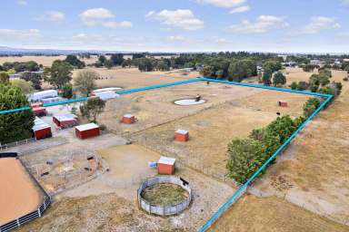 Farm Sold - VIC - Ross Creek - 3351 - A Horse Lovers Dream With No Expense Spared  (Image 2)