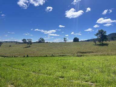 Farm For Sale - NSW - Kyogle - 2474 - DREAM PARCEL OF LAND  (Image 2)