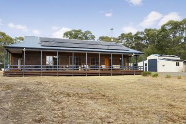 Farm For Sale - VIC - Scarsdale - 3351 - Generously Sized Ranch Style Home With An Emphasis on Sustainable Living  (Image 2)